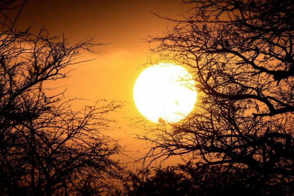 Serengeti National Park sunset