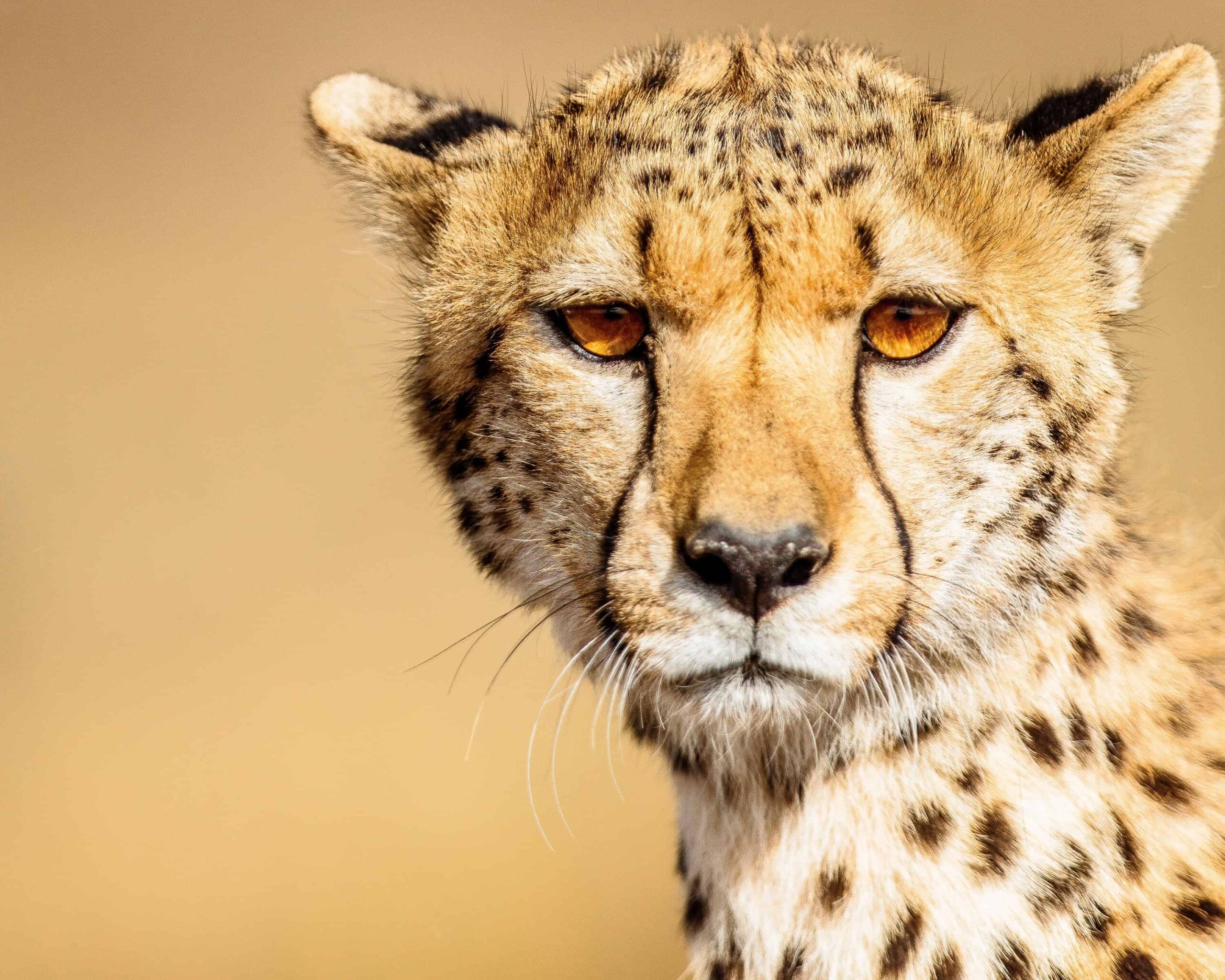 Lake Manyara National Park