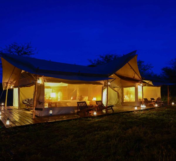 Asanja Africa Moru Camp