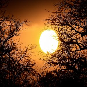 Tanzania Northern Circuit Safaris