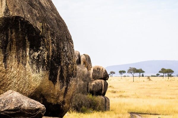 Serengeti National Park Safaris