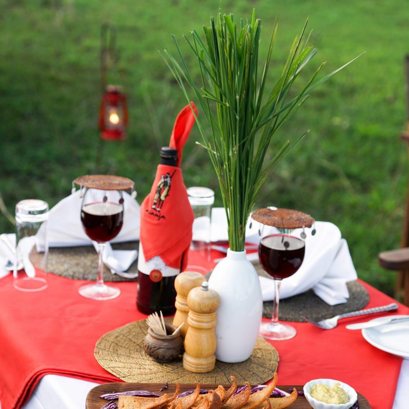 FLy Camping Serengeti