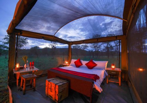 Fly Camping Serengeti