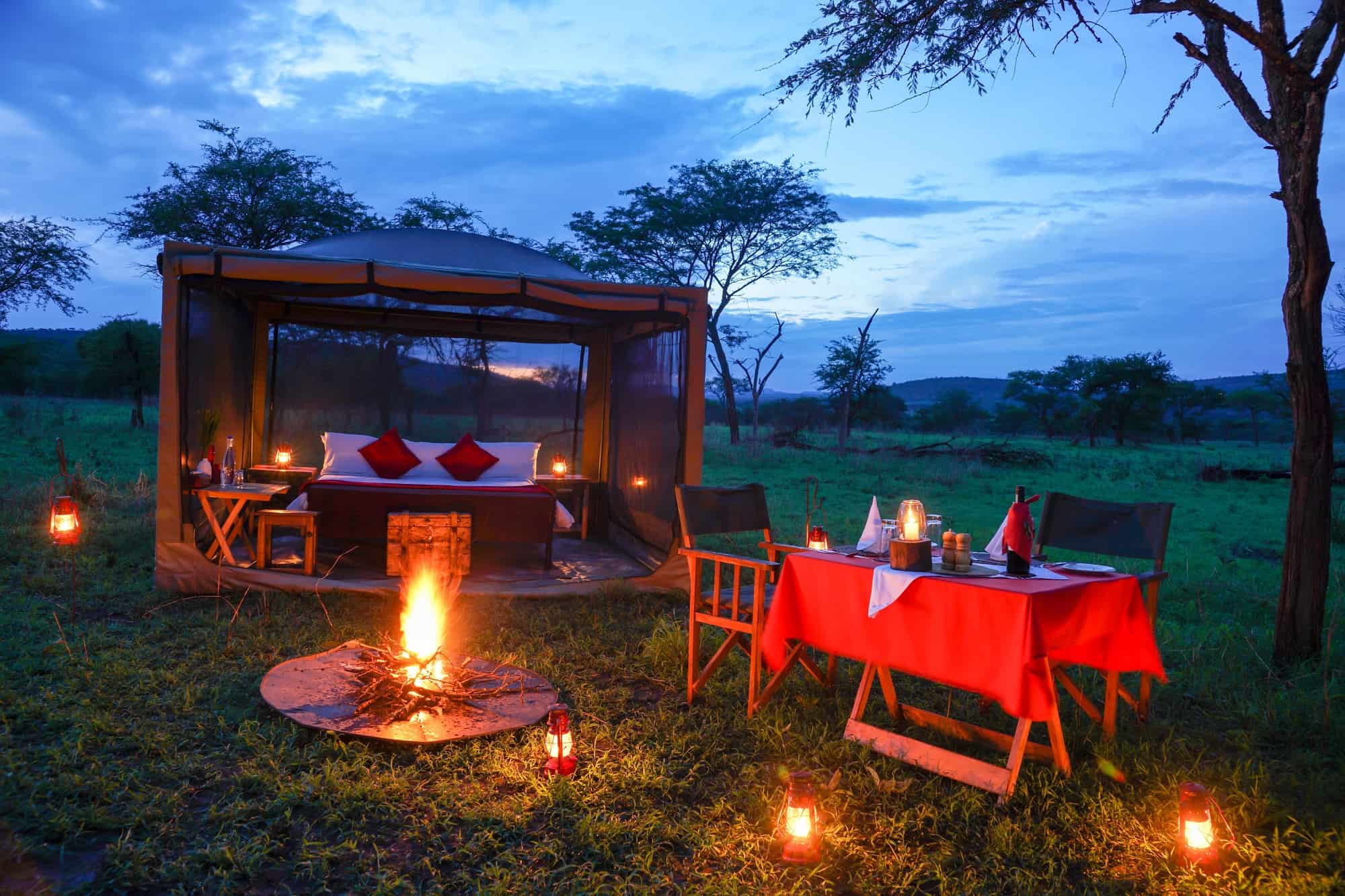Serengeti National Park: The Ultimate Safari in Tanzania