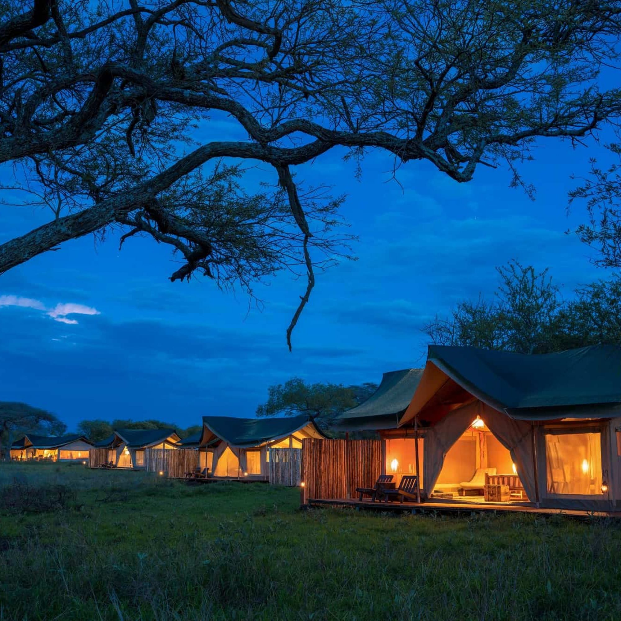 Asanja Moru Tent