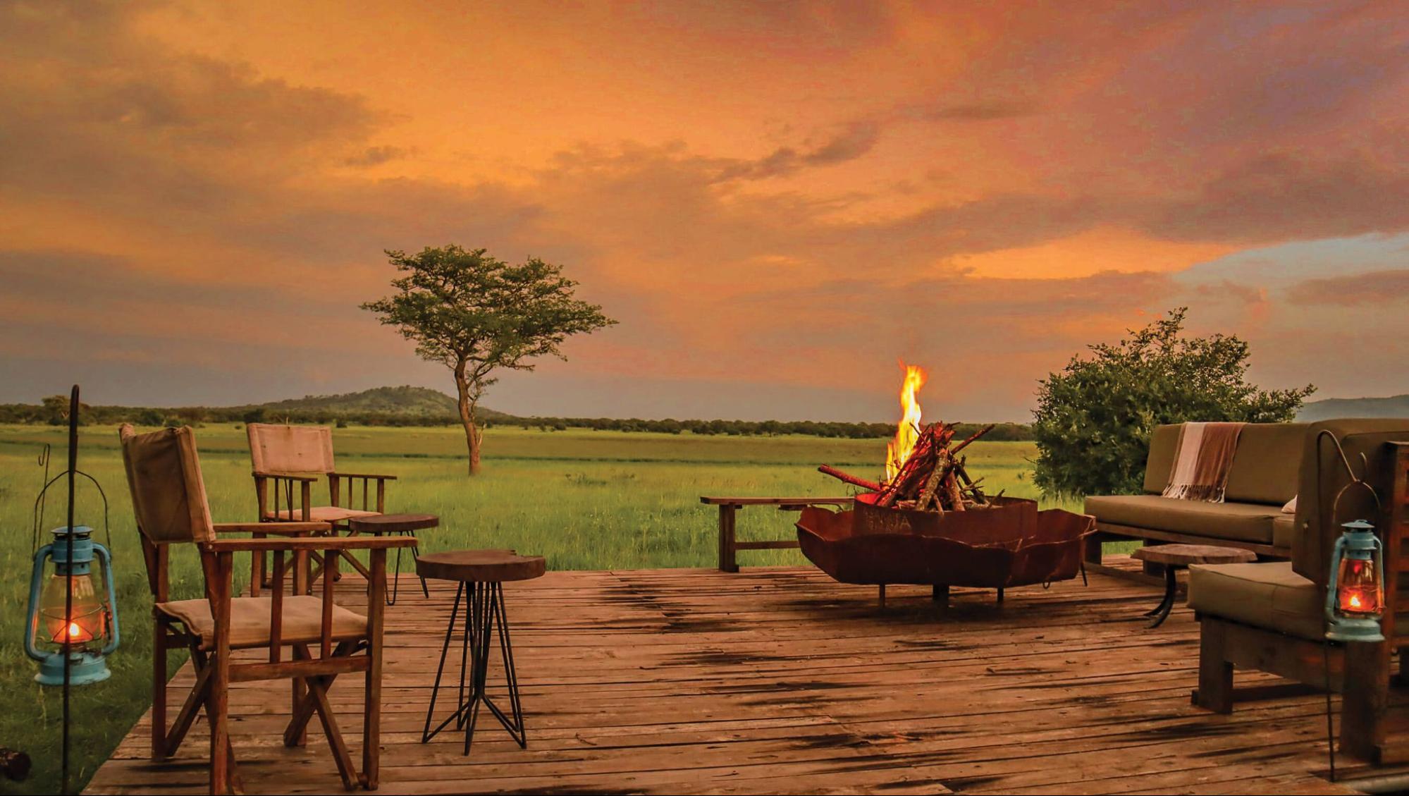 African Safari Tanzania: Your Guide to the Wild Heart of Africa