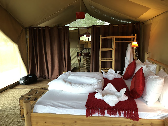 Top 5 Luxury Camps in the Serengeti for a Dream Safari Vacation in 2025