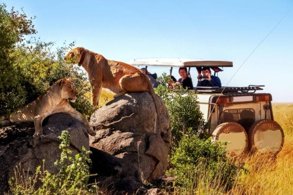 Classic Tanzania Safari