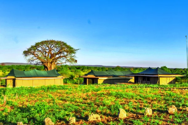 Korongo Luxury Camp, Tarangire