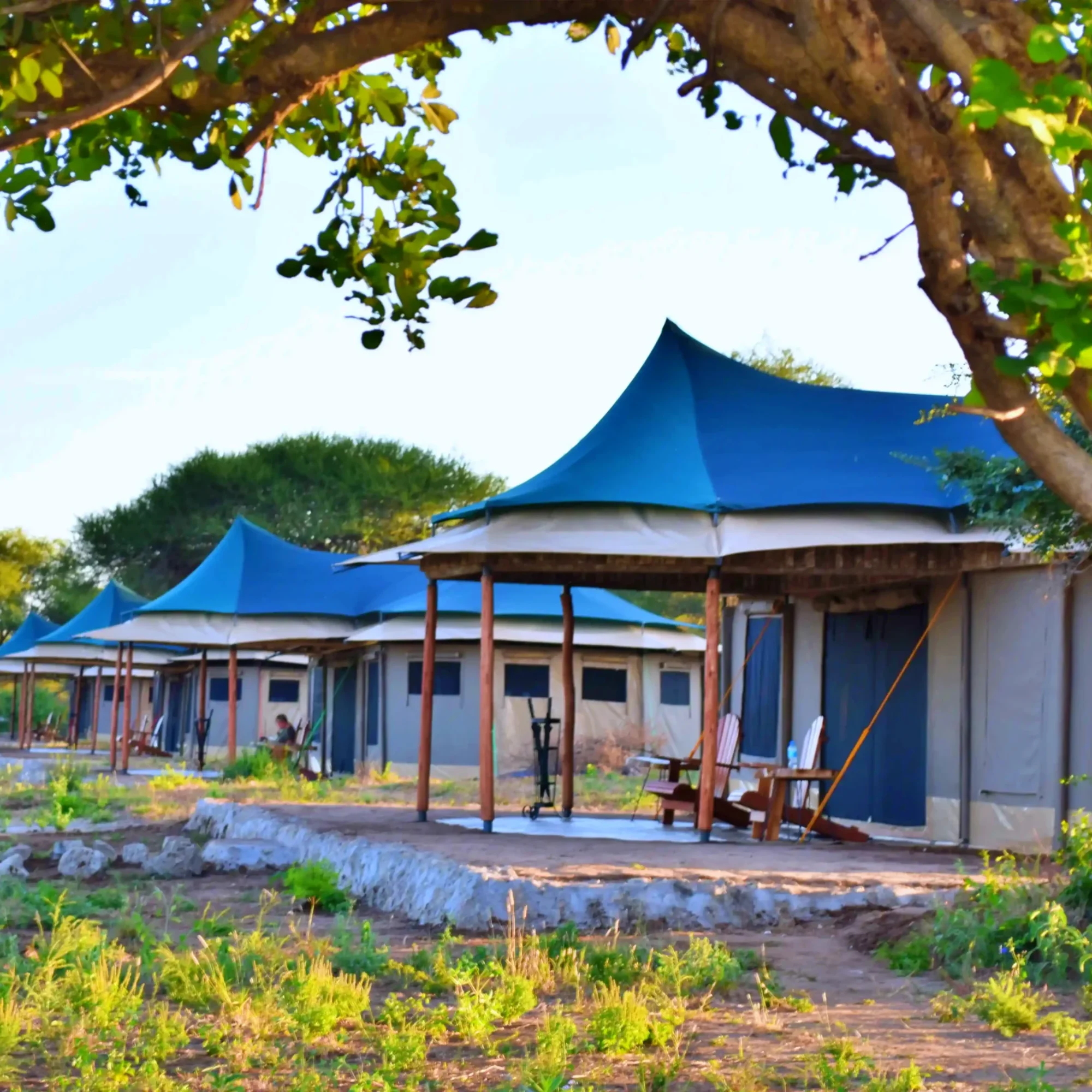 Korongo Luxury Camp Tarangire
