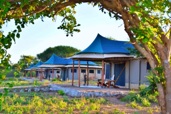 Korongo Luxury Camp Tarangire
