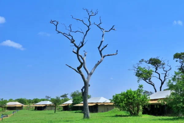 Mara River Camp Kogatende North Serengeti