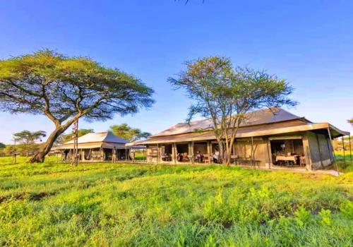 Ndutu Mobile Migration Camp