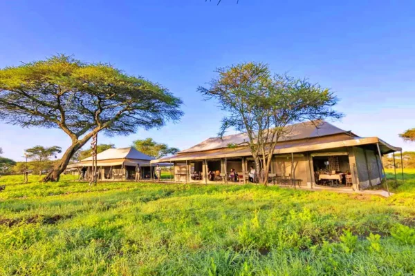 Ndutu Mobile Migration Camp