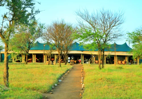 Tanzania Bush Camp Central Serengeti