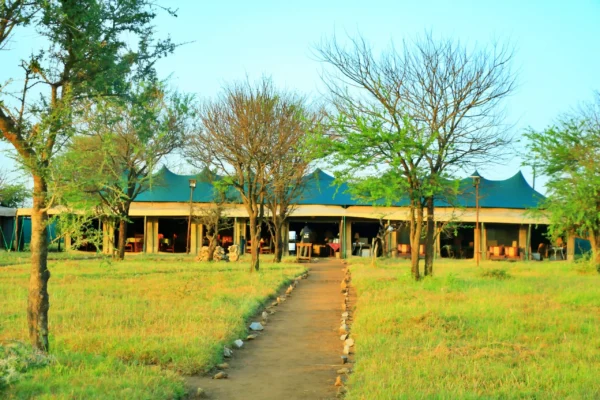 Tanzania Bush Camp Central Serengeti