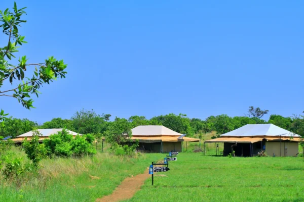 Mara River Camp Kogatende North Serengeti