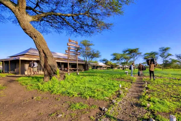 Ndutu Mobile Migration Camp