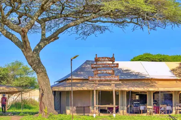 Ndutu Mobile Migration Camp