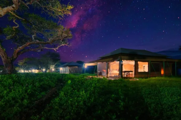 Ndutu Mobile Migration Camp