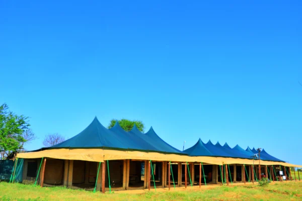 Tanzania Bush Camp Central Serengeti