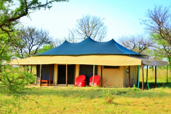 Tanzania Bush Camp Central Serengeti