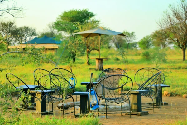 Tanzania Bush Camp Central Serengeti