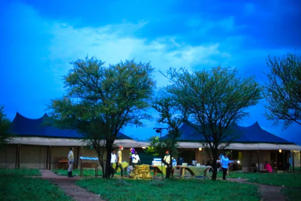 Tanzania Bush Camp Central Serengeti