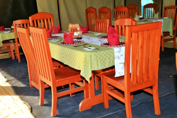 Tanzania Bush Camp Central Serengeti