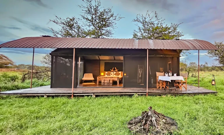 Luxury Tent Safari Tanzania: Your Guide to the Best Tented Camps and Wild Comfort