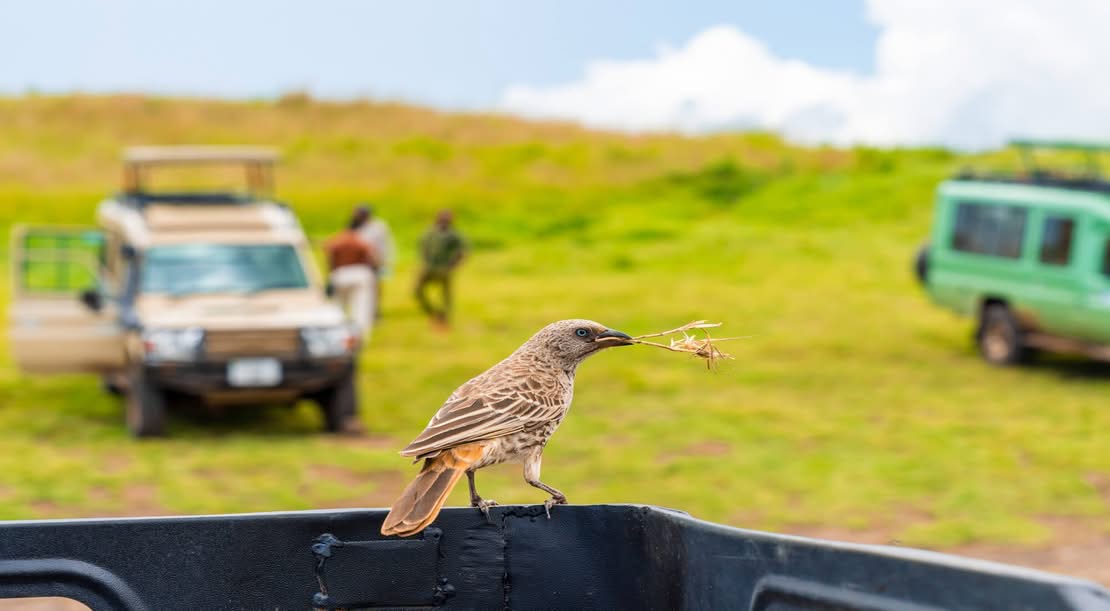 Fly Camping in Tanzania: What It Is, What It Costs & Is It Worth It? (2026 Guide)