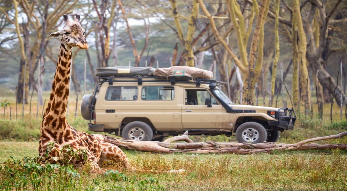 7-Day Tanzania Safari Itinerary: Serengeti, Ngorongoro & Tarangire (2026)