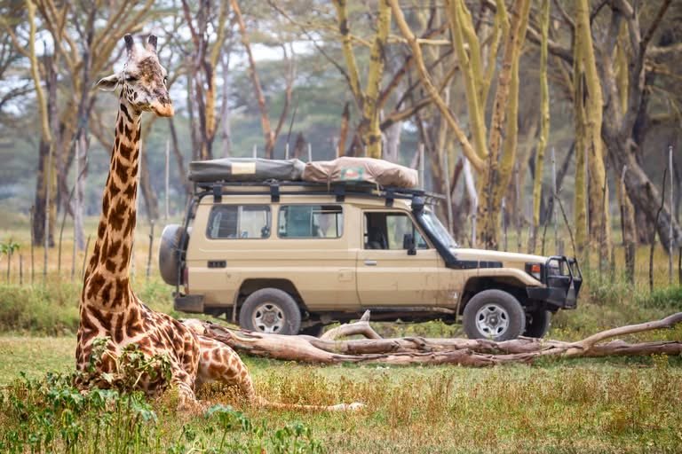 7-Day Tanzania Safari Itinerary: Serengeti, Ngorongoro & Tarangire (2026)