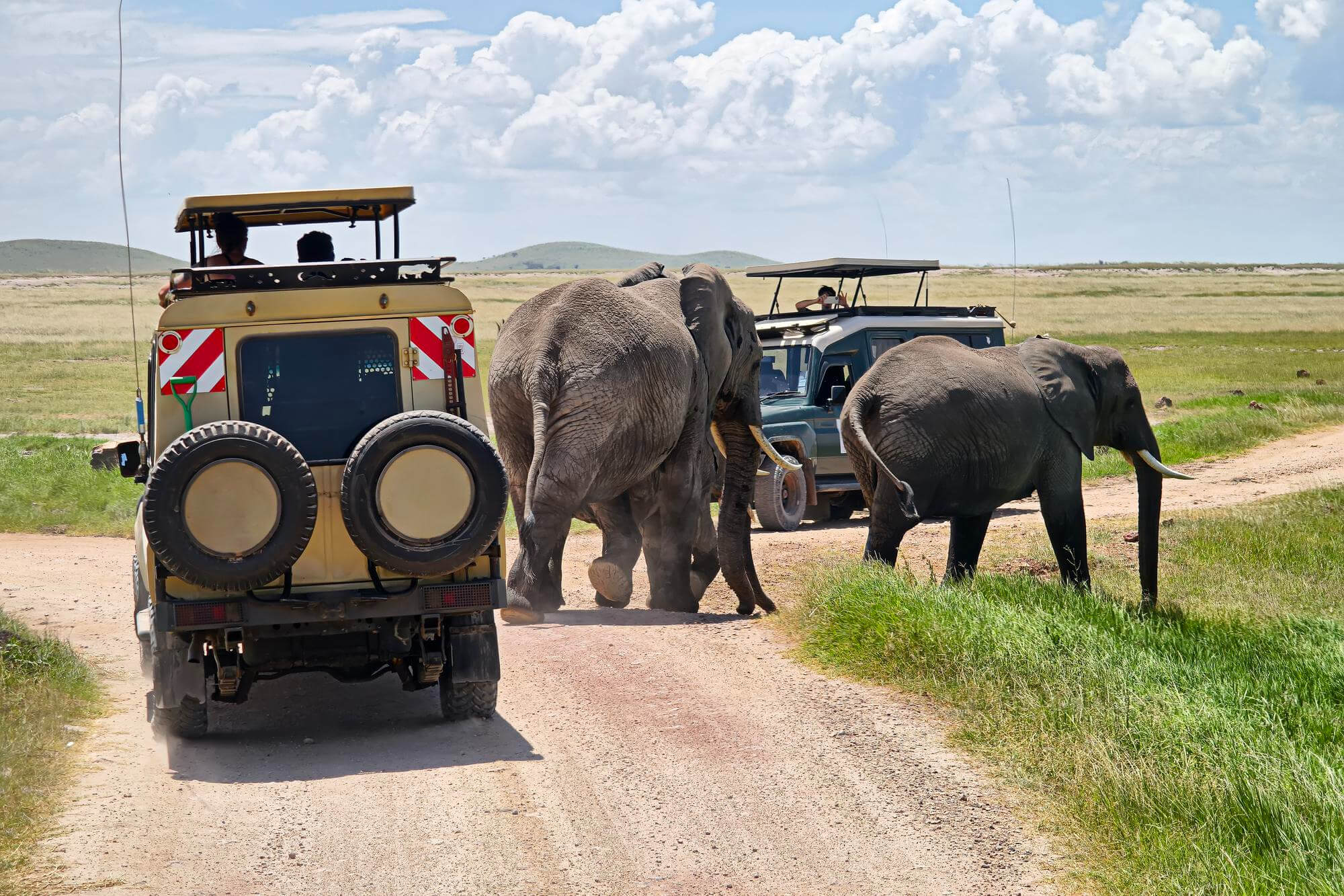 African Safari in Tanzania: Complete Wildlife Travel Guide