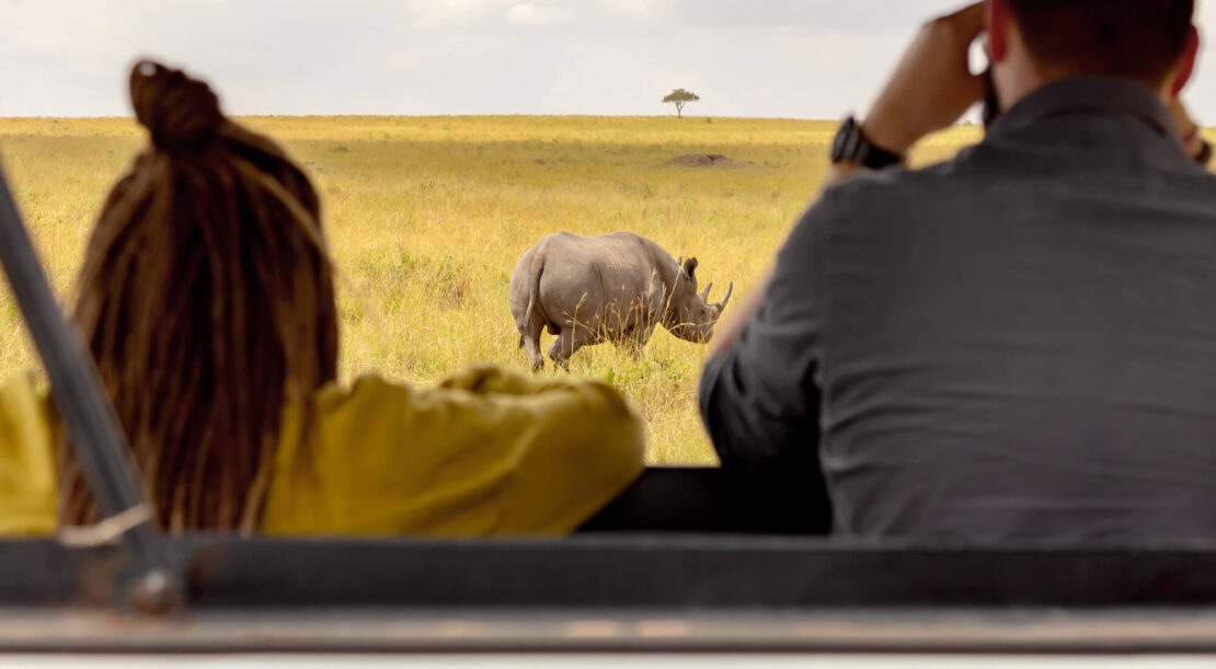 Serengeti Safari Cost 2026: Complete Price & Budget Guide