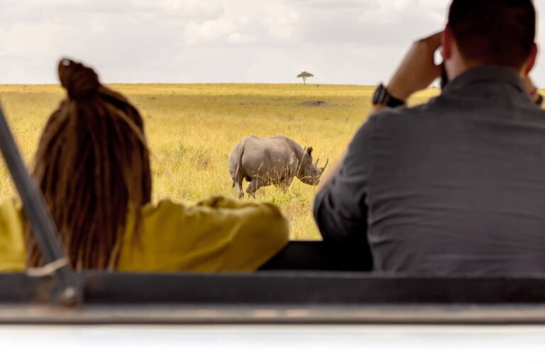 Serengeti Safari Cost 2026: Complete Price & Budget Guide