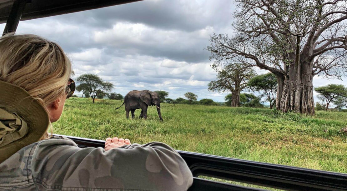 Luxury Safari Tours in Africa: A Complete Luxury Safari Guide
