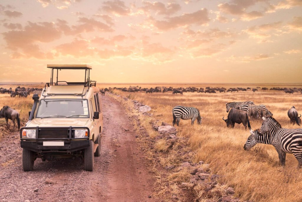 Luxury safari in Tanzania with a 4x4 safari vehicle and zebras and wildebeest grazing across the savanna at sunset